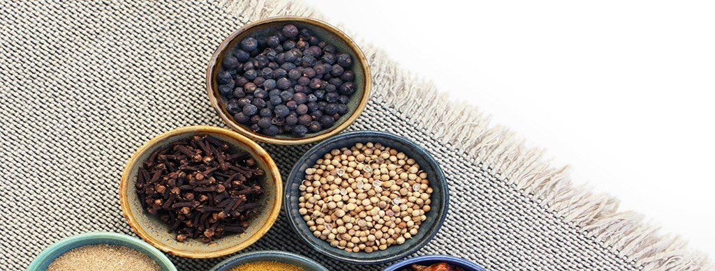 taller de ayurveda web